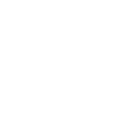Icon für das Themengebiet Sicherheit